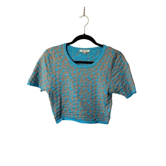 Lucy Paris, gray and blue polkadot, net, short sleeve, sweater, size large - Picture 1 of 3